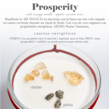 Cargar imagen en el visor de la galería, Prosperity Universe