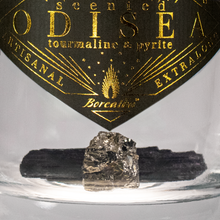 Cargar imagen en el visor de la galería, ODISEA