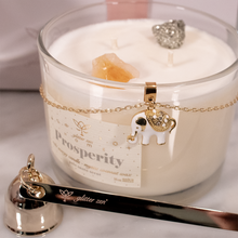 Cargar imagen en el visor de la galería, HOME Prosperity - Deluxe Kit