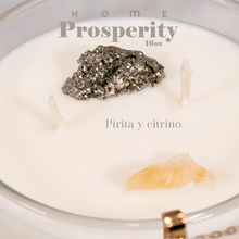 Cargar imagen en el visor de la galería, HOME Prosperity - Deluxe Kit