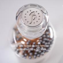 Cargar imagen en el visor de la galería, 99 Wishes - Silver
