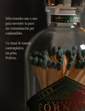 Cargar imagen en el visor de la galería, Tornado CÁMARA RACING GREEN
